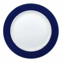 Coupon 🎁 Mikasa® Jet Set Blue Accent Dinner Plate 💯