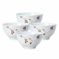 Coupon ⌛ Gourmet Basics® Red Berries Set of 4 Soup Cereal Bowls ❤️